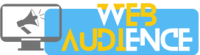 Web Audience