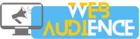 Web Audience